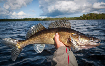 Mastering Cold Water Fishing in the Northern U.S.: Tips and Techniques for Success