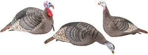 Turkey Decoy 