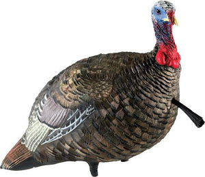 Quarter Strut Jake Decoy 