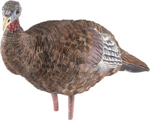 Breeder Hen Decoy 