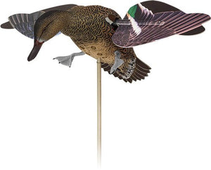 Wing hen Teal Decoy 