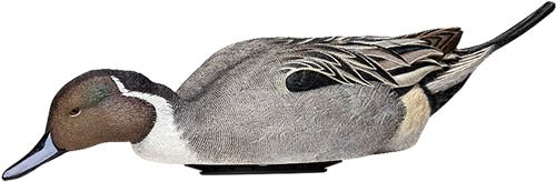 Pintail Surface Feeder Decoy 