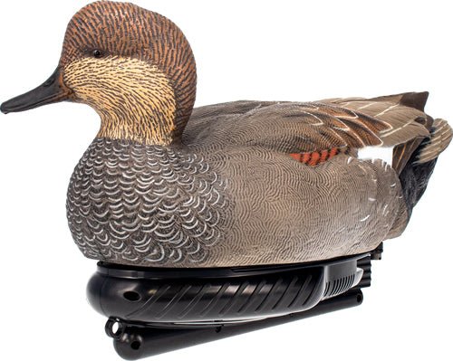 Swimmer Gadwall dagger Decoy 