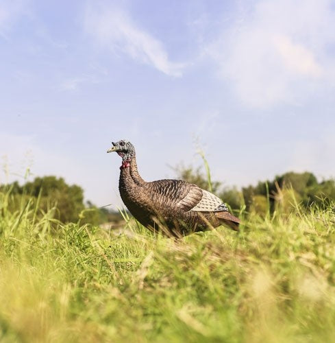 Chick Upright Decoy 